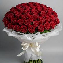 Букет 101 Красная роза Блэк Мэджик в Пограничный