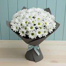 Букет цветов из:  Хризантемы #REPLACE_PRED# Пограничный