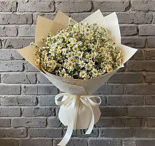 Букет цветов из:  Ромашки #REPLACE_PRED# Пограничный