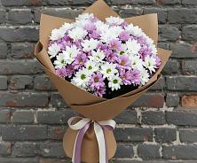 Букет цветов из:  Хризантемы #REPLACE_PRED# Пограничный