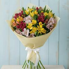 Букет цветов из:  Альстромерии в Пограничный