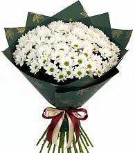 Букет цветов из:  Хризантемы #REPLACE_PRED# Пограничный